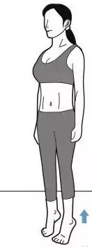 小腿太细易得中风