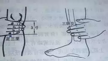 三阴交