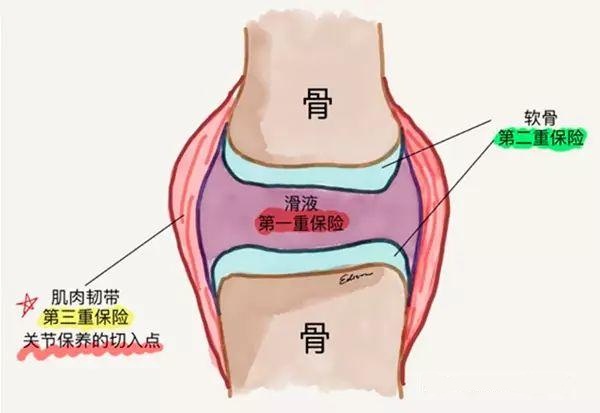 缓解疼痛腰痛、肩痛、膝盖痛