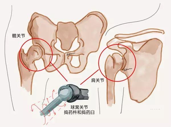 缓解疼痛腰痛、肩痛、膝盖痛