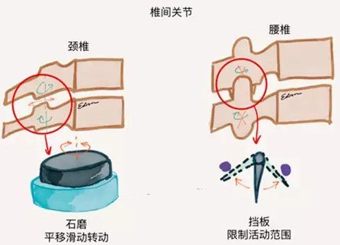 缓解疼痛腰痛、肩痛、膝盖痛