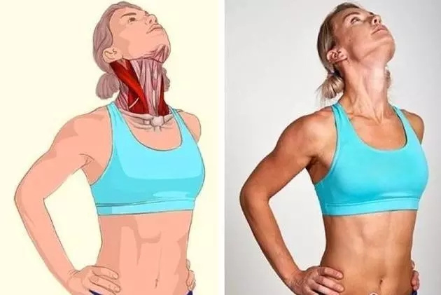 全身拉筋动作3D图解