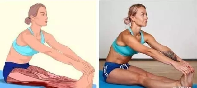 全身拉筋动作3D图解