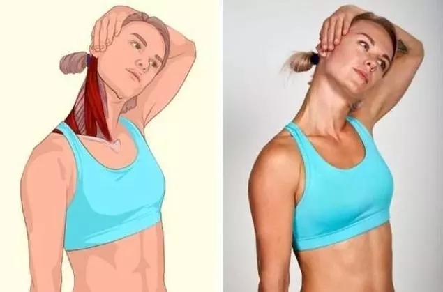 全身拉筋动作3D图解