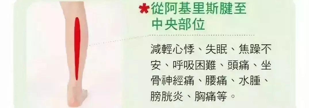 多推小腿，不想得癌症