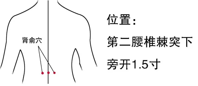 久视伤血、久卧伤气、久坐伤肉、久立伤骨、久行伤筋