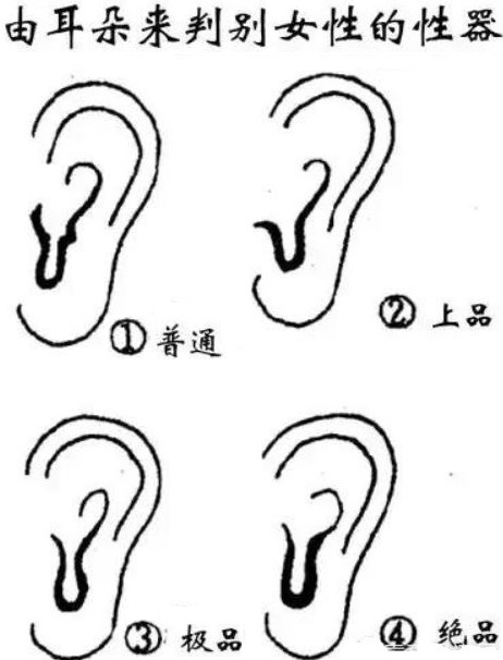 耳朵相学：通过女性耳朵可看出很多秘密